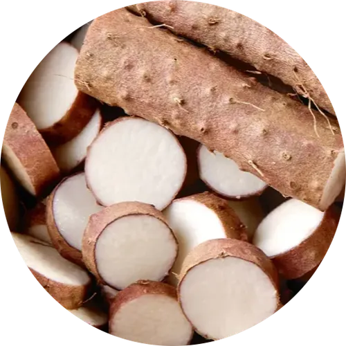 Wild Yam Root Extract — ingredient in Vigoryn